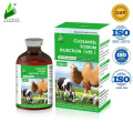 5%100ml Closantel sodium injection for animal use only